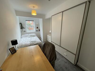 Picture 11